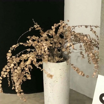 曾都FurryQQ群介绍